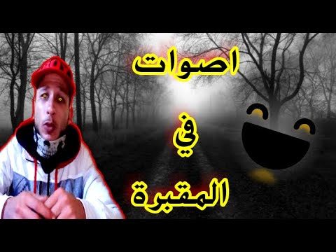 download lagu mp3 mp4 Blackwolf Com, download lagu Blackwolf Com gratis, unduh video klip Blackwolf Com