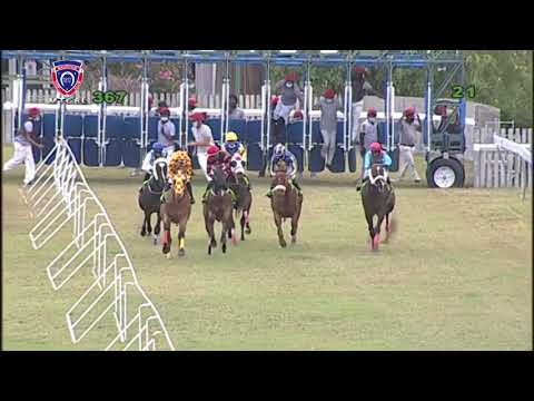 RM36 R7 | High Key | J.Allyhosain