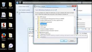 How to turn on Telnet ( Client / Server) on Windows