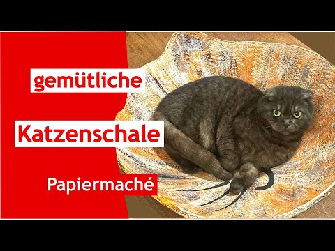 Gemütliche Katzenschale aus Papiermaché selber machen
