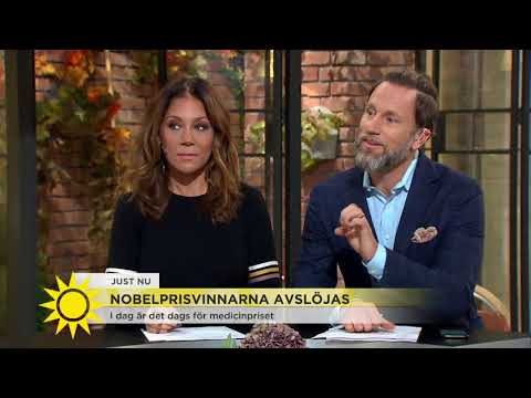 "Dags att Nobelpriset går till cancerforskningen"  - Nyhetsmorgon (TV4)