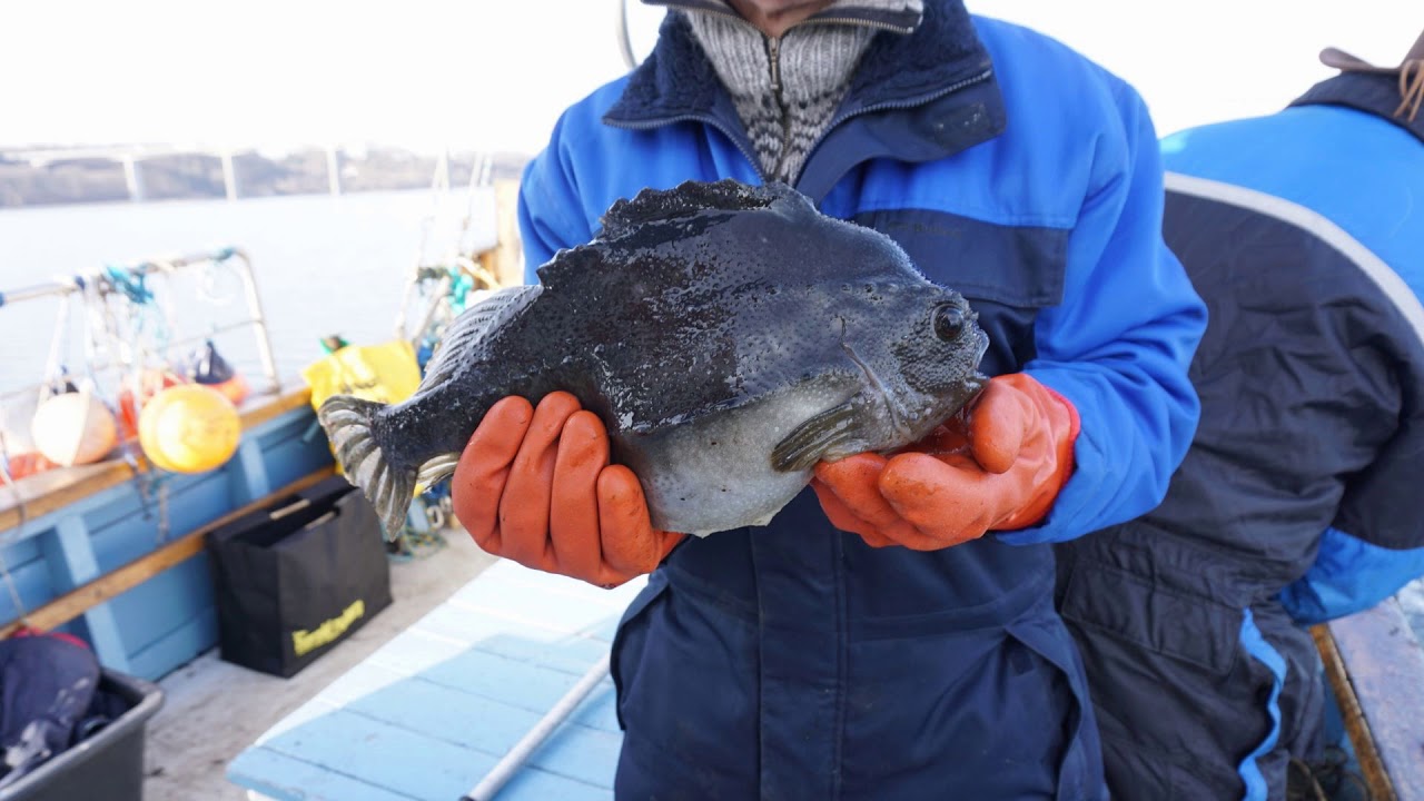 Stenbidder thumbnail