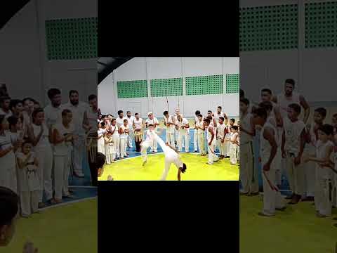 Roda De Capoeira Em Jacaré Dos Homens