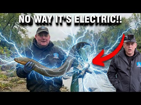 Magnet Fishing A Crime Hot Spot. You won't Believe What's in There!