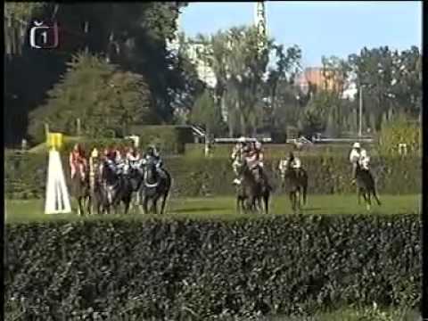 116. Velká pardubická steeplechase - 2006