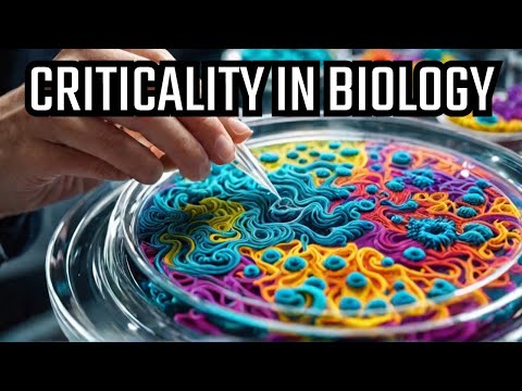 The Biological Criticality – Does Life Exist on the Edge of Chaos?