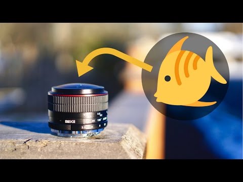 Video thumbnail for Video Review 2