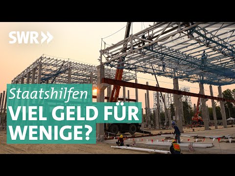 Subventionen: Wann hilft der Staat zu viel? | Plusminus SWR