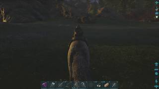 How to get a Dire Wolf Saddle - ARK Ragnarok