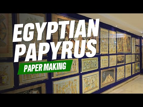 Egyptian Papyrus - Paper Making