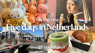 【オランダに住もう？】夫学会中にひとり旅/岡山県民会inオランダ開催/数年ぶりの焼肉沁みた/アムステルダム/ロッテルダム/マウリッツハイス美術館