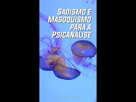 Sadismo e Masoquismo para a Psicanálise
