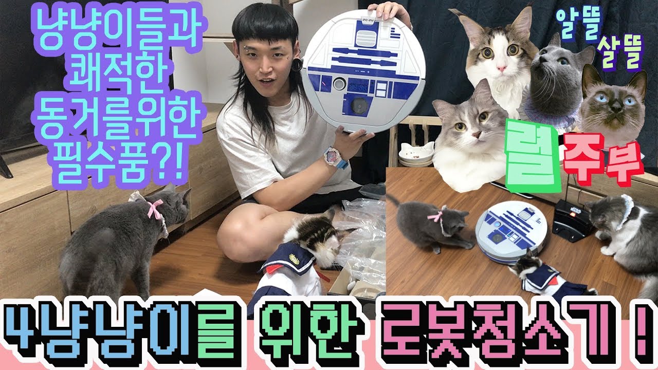 4냥냥이들과의 쾌적한 동거를위한 필수품? 로봇청소기 ! ㅣ-알뜰살뜰 렬주부