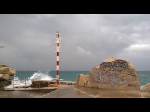 Goran  Karan Samo  moru  virujen