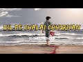 Dil Pe Chalai CHHURIYAN Slowed Reverb Lo Fi Song Lofisong