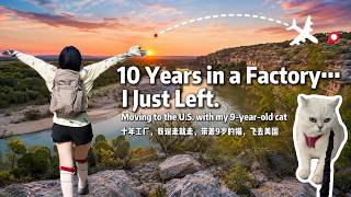 I Threw Away 10 Years and Moved to the U.S. | With My Cat | Worth It or Regret?｜抛下一切去美国，值吗