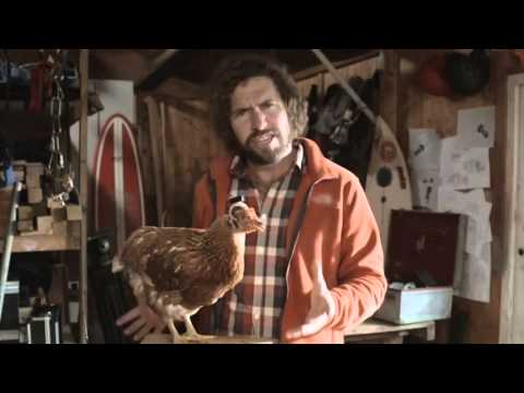 Steady Feathers  LG G2   The most extreme camera ever 'Chicken'