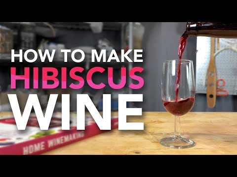 Making Hibiscus Wine | One gallon easy recipe start to finish - with a tasting!