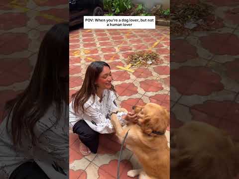 How its like to be when you are an introverted dog lover 🤭😅