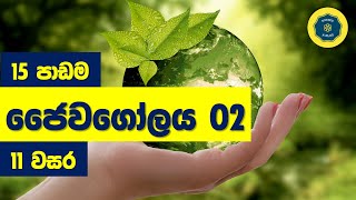 O/L Science Sinhala | Grade 11 Science Unit 15 Part 2 | 11 විද්‍යාව 15 පාඩම 2 කොටස | ජෛවගෝලය