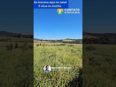 Fazendinha boa de 10,5 alqueires em Ouro Fino MG #brasil #fazenda #pecuarista #gado #mercadoagricola