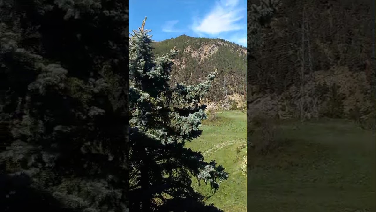 Appartamento - Video