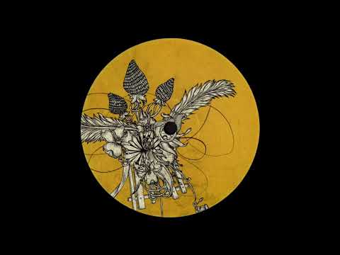 A2. Carlo - Ciflo [ODB003]
