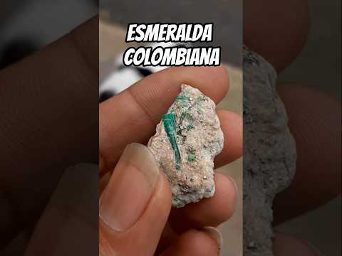 Esmeralda colombiana de Chivor Boyaca #sh2 #sh2m2hs #shamahscuarzos #shamahs #shamahsesmeraldas