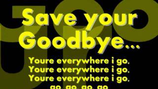 Save your Goodbye ~ Mike Posner ~ Lyrics