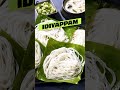Treat yourself to the delicate goodness of idiyappam, also known as string hoppers!! 😋😀 #shorts - Video