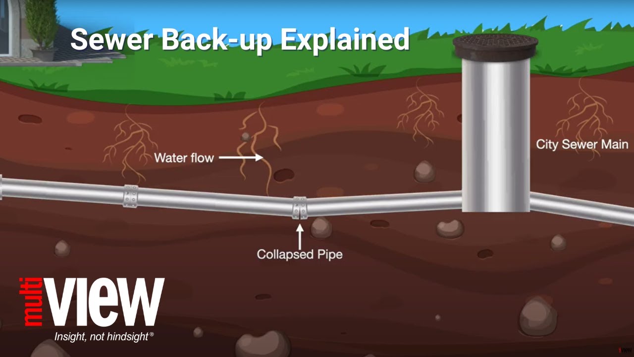Flushing Out the Truth: Troubleshooting Sewer Backups - Real Case | multiVIEW Locates Inc.