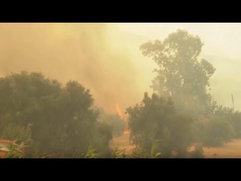 Wildfires rage in Greece amid drought