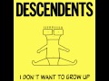 Descendents - Ace