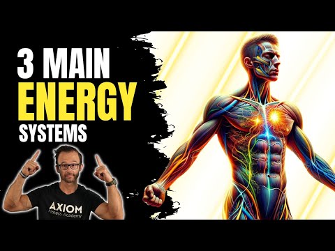 Bioenergetics: The 3 Main Energy Systems || NASM-CPT Chapter 8