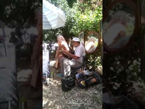 Chitarra con tre manici e percussione | Rama