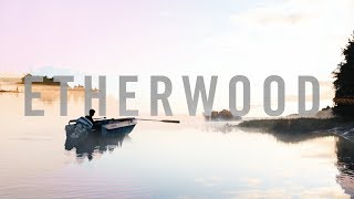 Video thumbnail of "Etherwood - You're Missing Life"