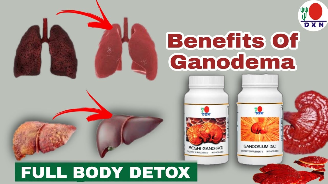 DXN Ganodema (in Hindi) | Health Benifits of Ganotherapy