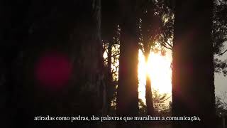 [PALAVRAS]