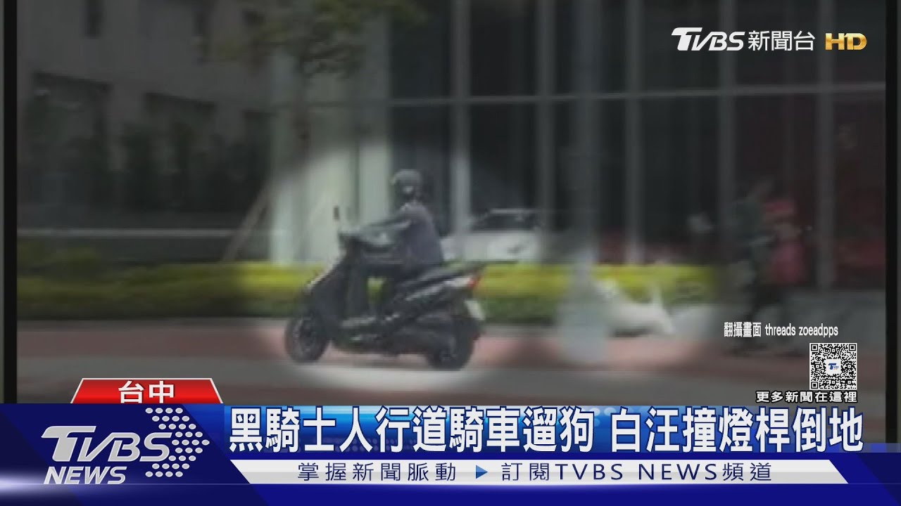 黑騎士人行道騎車遛狗 白汪撞燈桿倒地