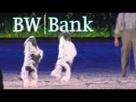 STUTTGART GERMAN MASTERS - Show - Hundeshow Lauenburger