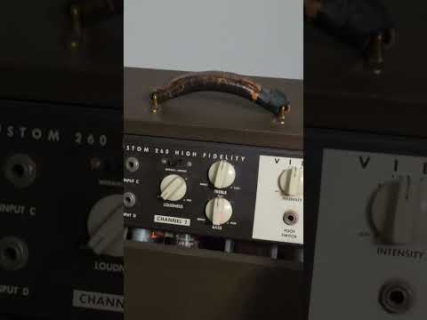 Vintage Magnatone Model 260 Custom (1959) image 13