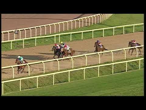 rm 20201106 06 p ohsosharp