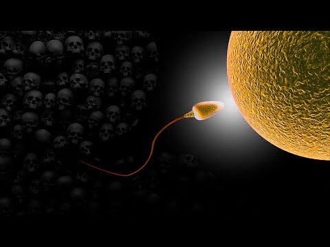 La carrera de la vida | Mini Documental