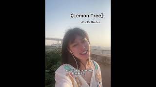 Lemon Tree by Fool&#39;s Garden #shorts