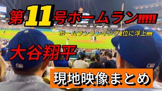 【現地映像まとめ】大谷翔平 第11号ホームラン🔥ホームランランキング2位に浮上!!!! #大谷翔平 #大谷 #ドジャース #ホームラン #今日の大谷さん #盗塁 #現地映像 #第11号 #11号