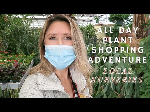 All Day Plant Shopping Adventure | Local Nurseries