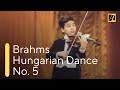 BRAHMS: Hungarian Dance No. 5 | Antal Zalai, violin (9) 🎵 classical music