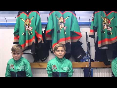 Lidé a hokejisté budoucnosti - Hc Domažlice