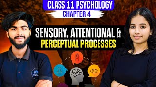 Sensory attentional and perceptual processes One Shot Explanation | Class 11 Psychology Ch 5