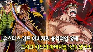 [샹크스 키드의 3가지 떡밥 분석]록스해적단의 전설적인 선원의 아들 키드 그리고 키드의 아버지를 죽인 샹크스
